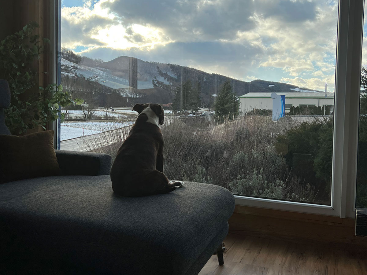 Mia