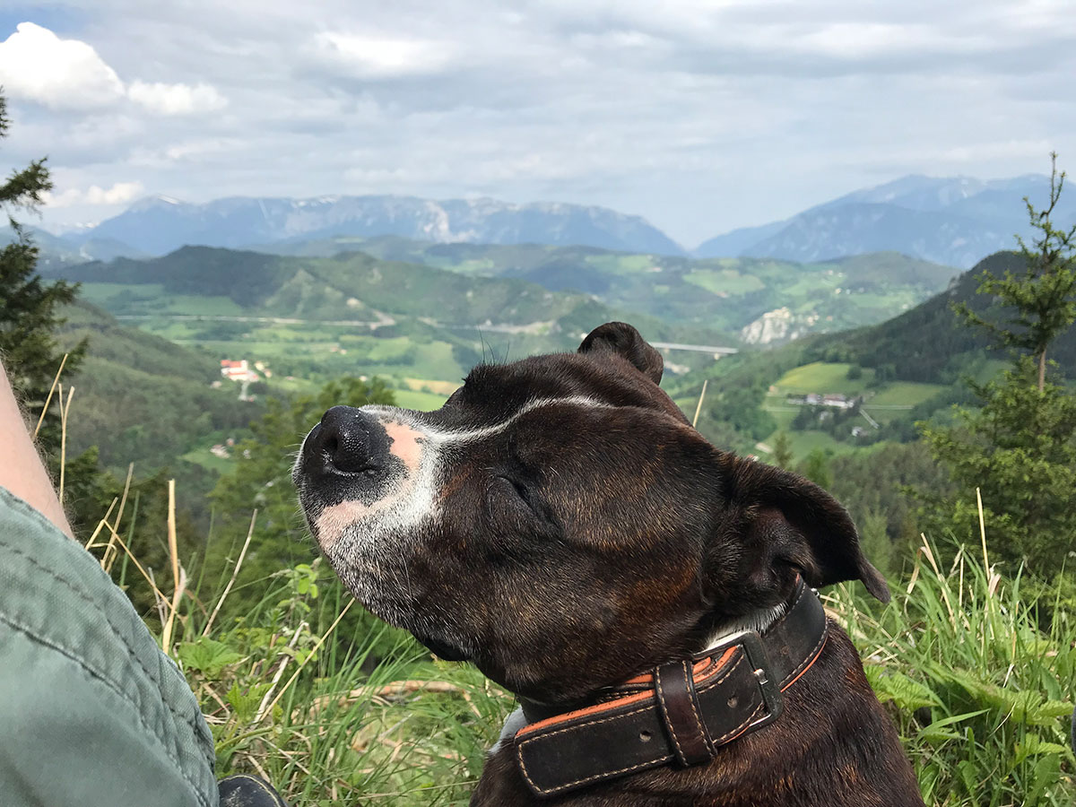 Mia